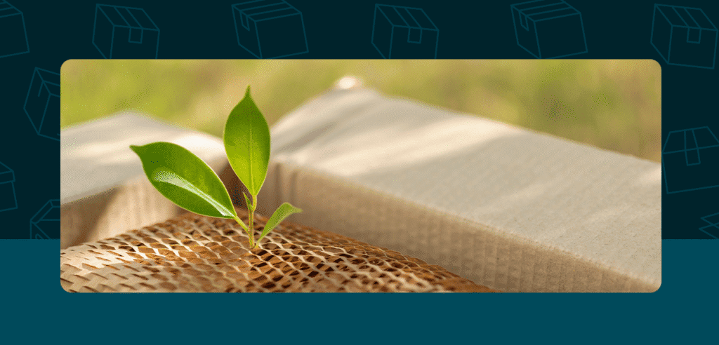 Sustainable Packaging Ideas for Clothing Brands: Eco-Friendly Solutions for the Fashion Industry